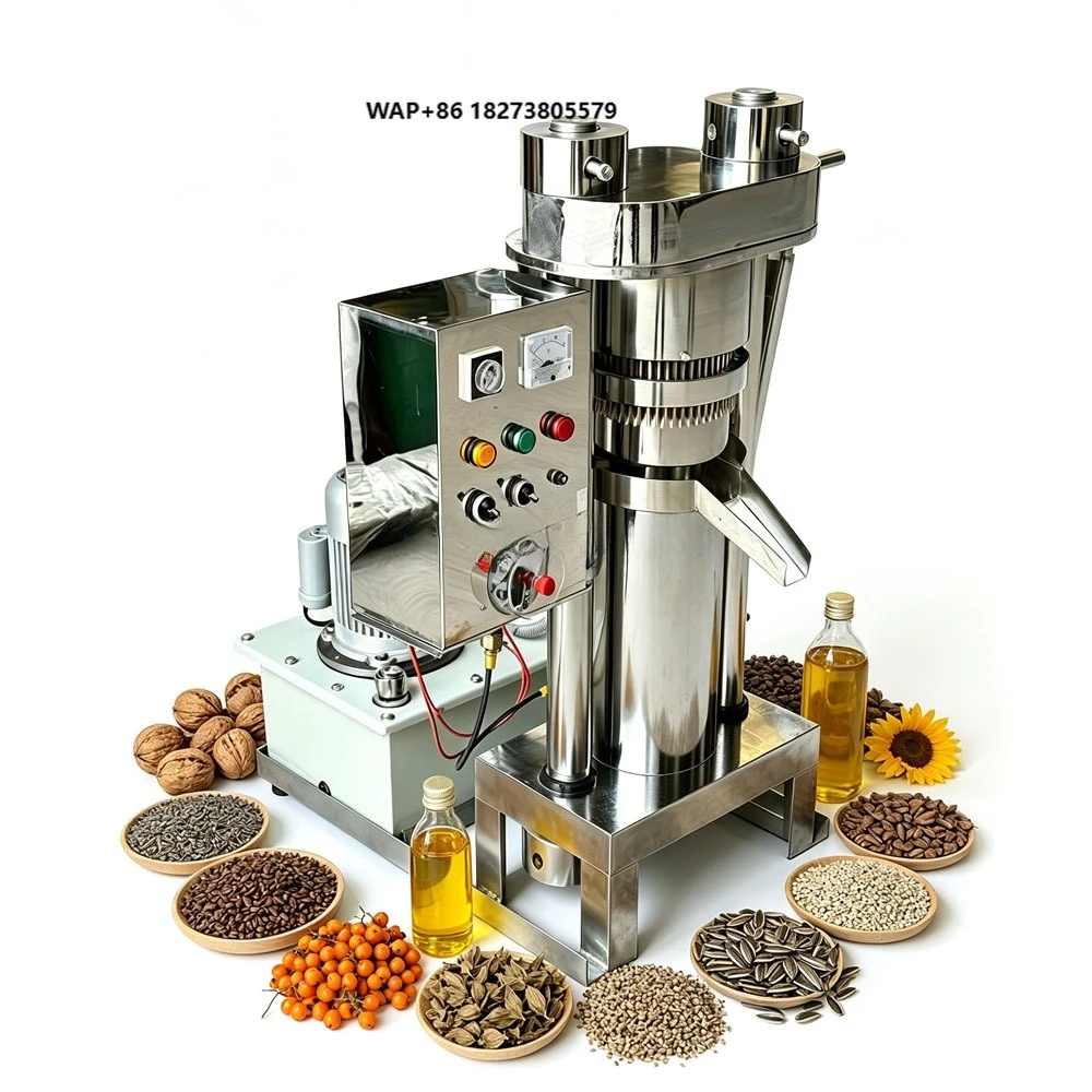 Hydraulic Mini Small Cold Press Oil Pressing Machine Peanut Coconut Olive Sunflower Palm Sesame Oil Press Machine