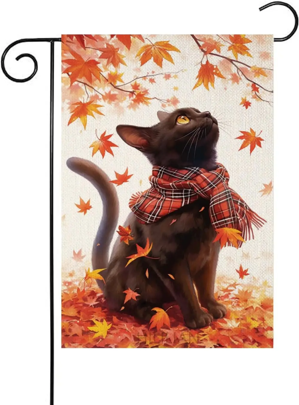 Black Cat Garden Fl… - image