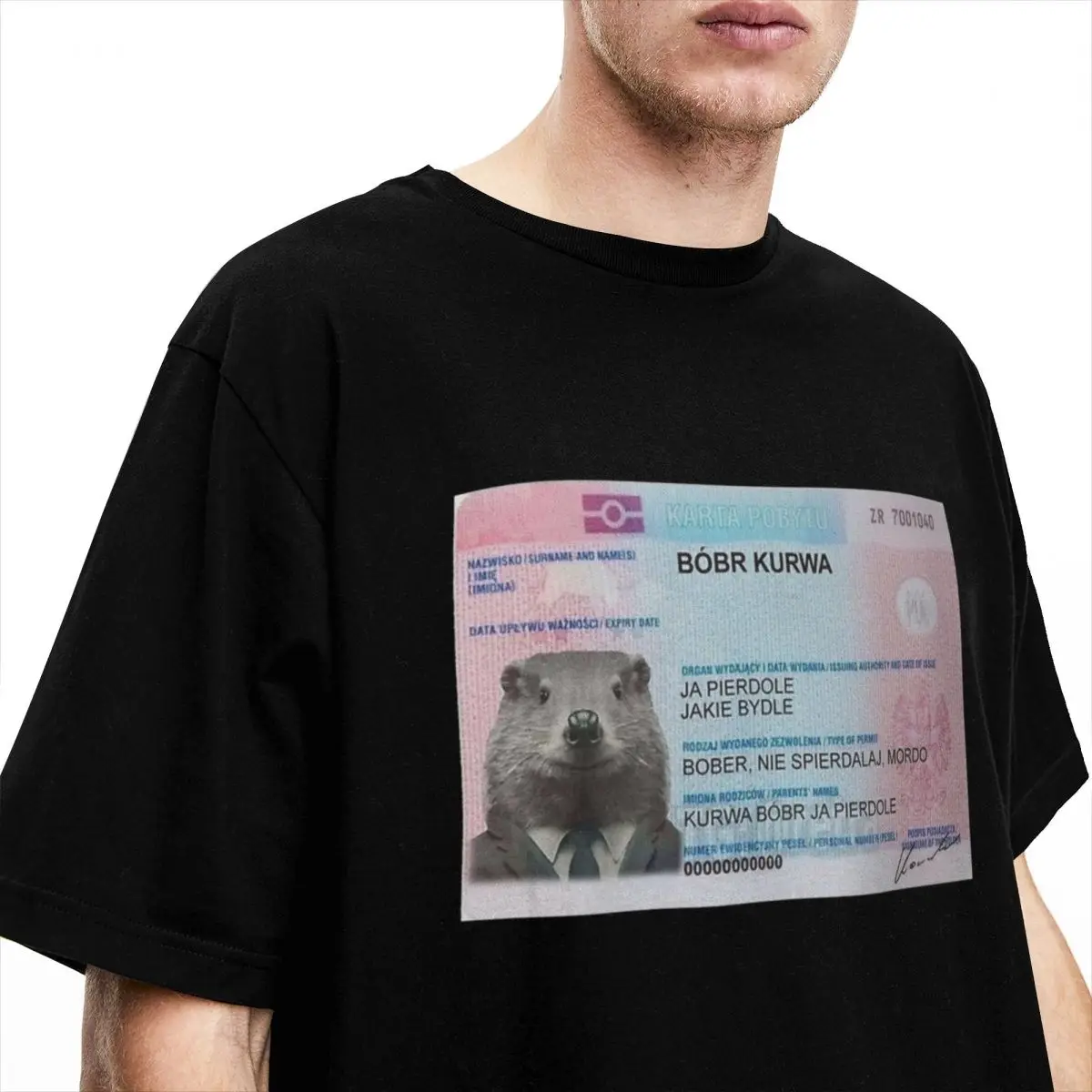 Bobr Kuwa Bober Beave T Shirt Animal Ctue Pop T-Shirts Short-Sleeve Streetwear Tshirt Summer Pure Cotton O Neck Oversized Tees