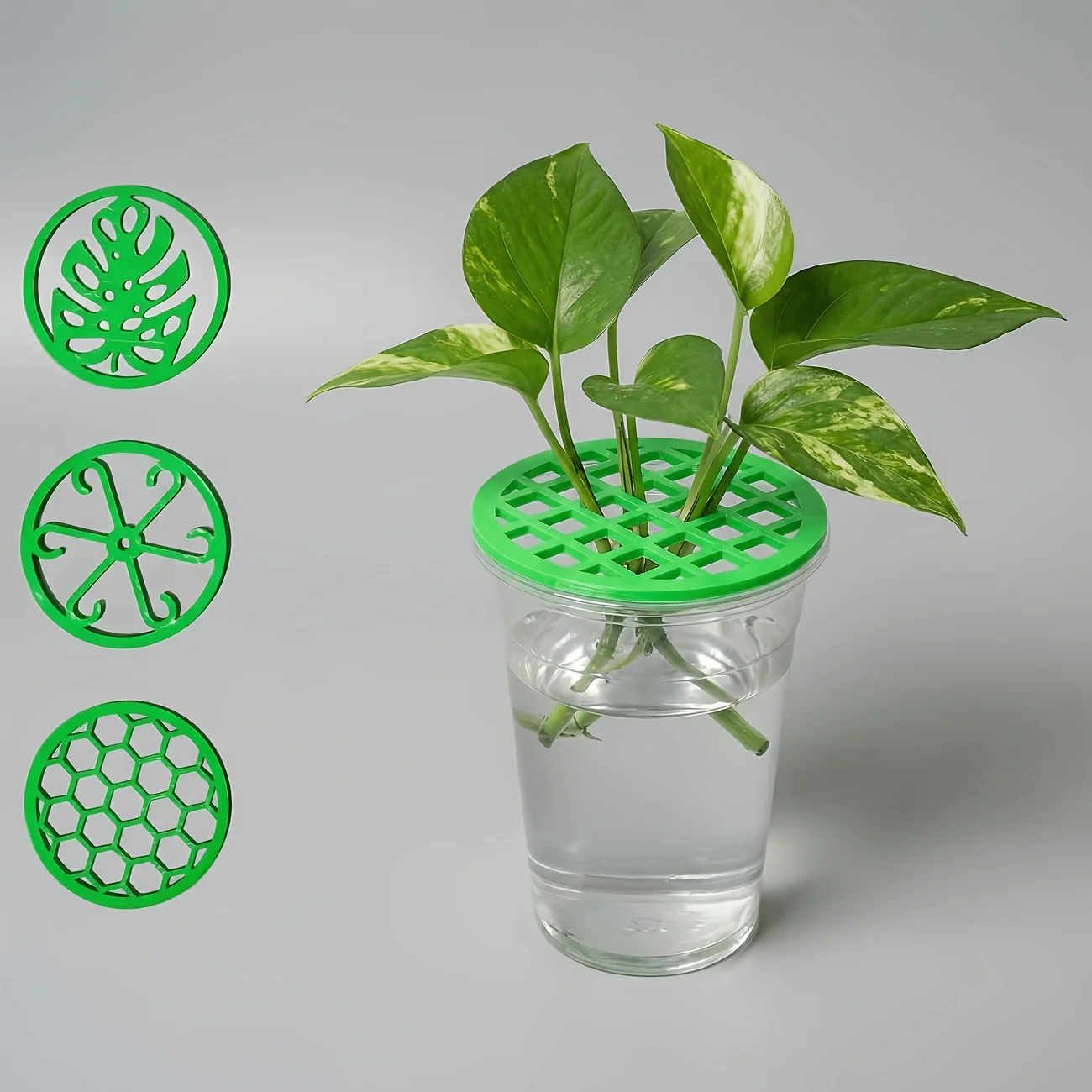 Different Shapes, Gardening Branch Organizing Ties for Vegetation Decoration, Flower Care And Garden Arrangement Tools