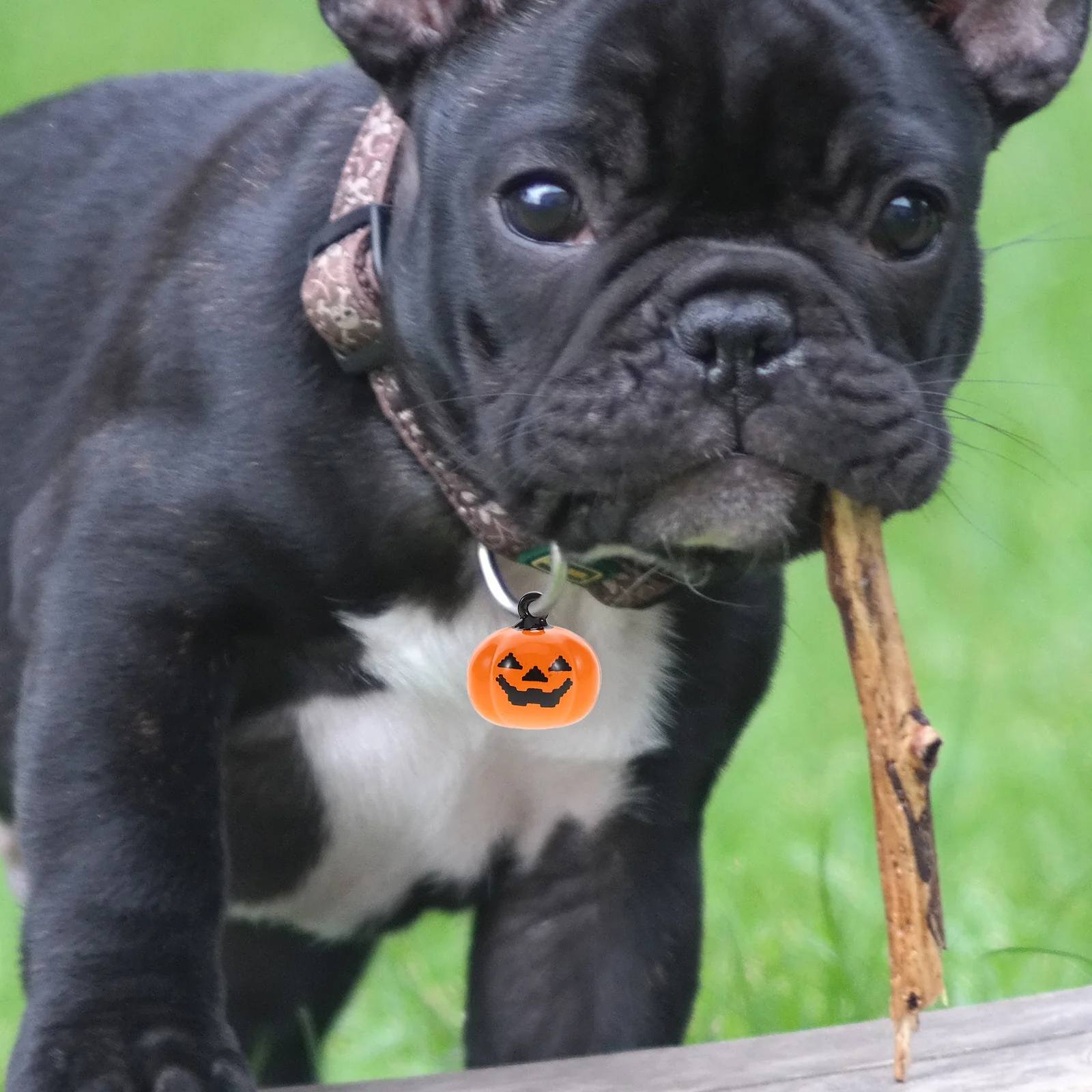 

20pcs Pumpkin Shape Pet Bells Copper Cartoon Pendant Dog Collar Accessories Halloween Decoration Safety Quick Release Ringing