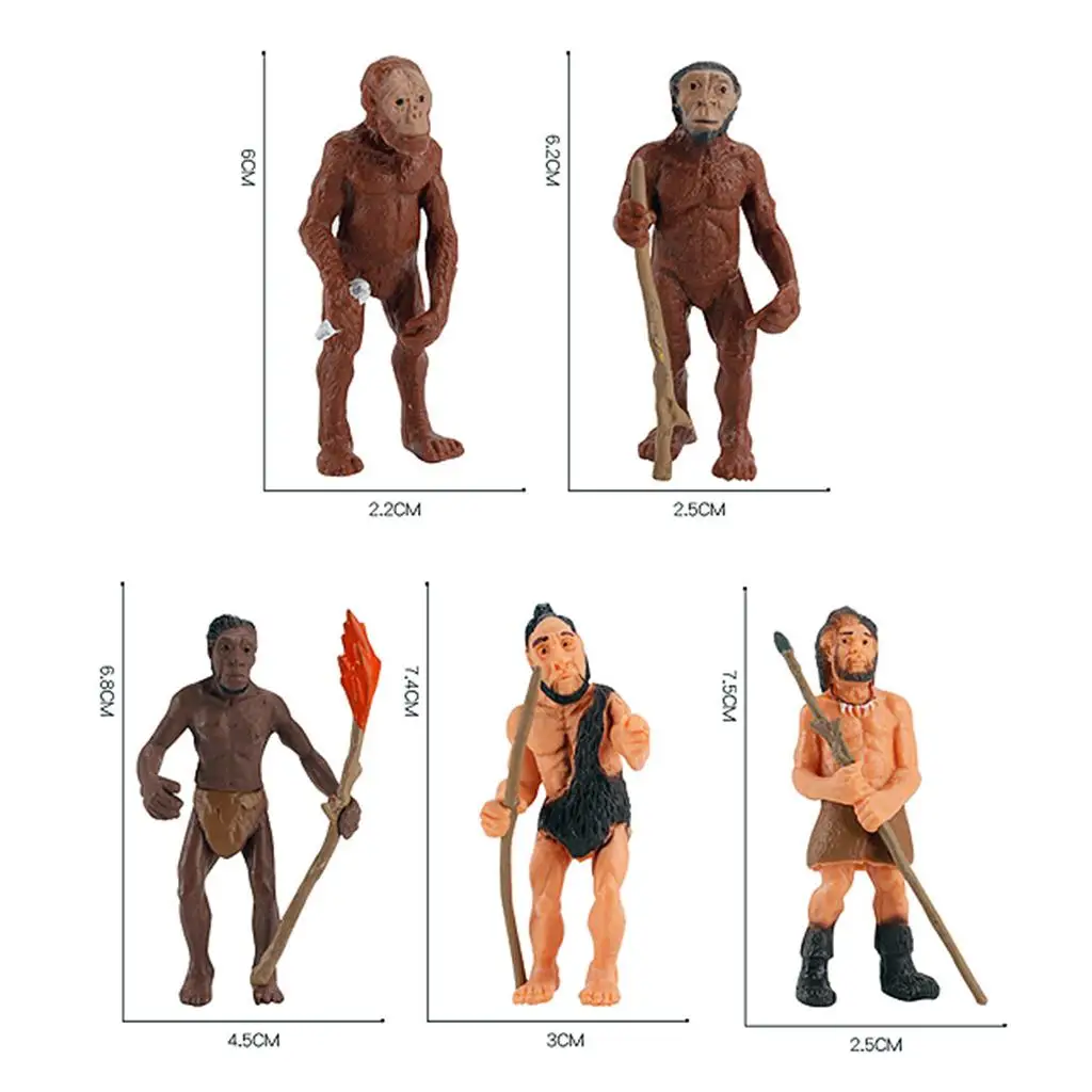 Brinquedos de aprendizagem modelo humano primitivo crianças auxiliares de ensino cognitivo decoração de casa