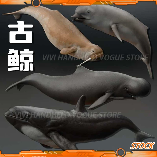 1/35 12cm Ancient whales model Toy Ancient Prehistroy Animal Dinosaur Model  GK customize odobenocetops Orcinus citoniensis - AliExpress