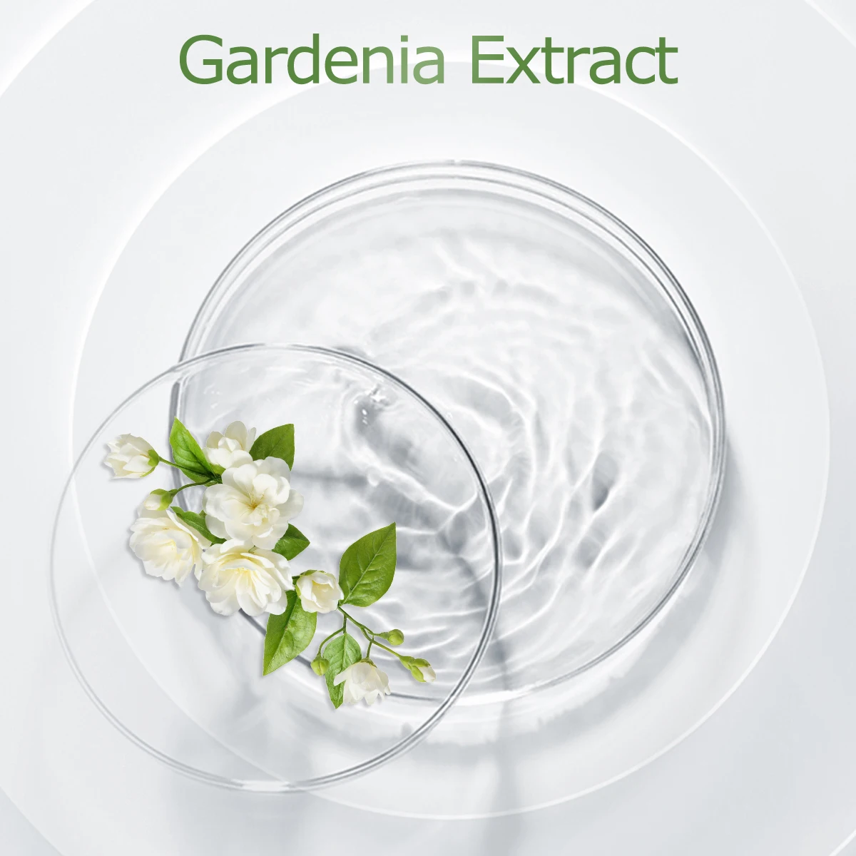 زيت جاردينيا العطري عبارة عن زيت أساسي غني ومتعدد الاستخدامات والذي يمكن استخدامه أيضًا في أجهزة توزيع الزيوت العطرية وDIY