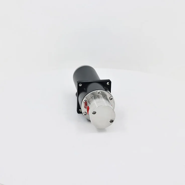 

Пищевой магнитный шестеренный насос, неразборный насос для кремового йогурта