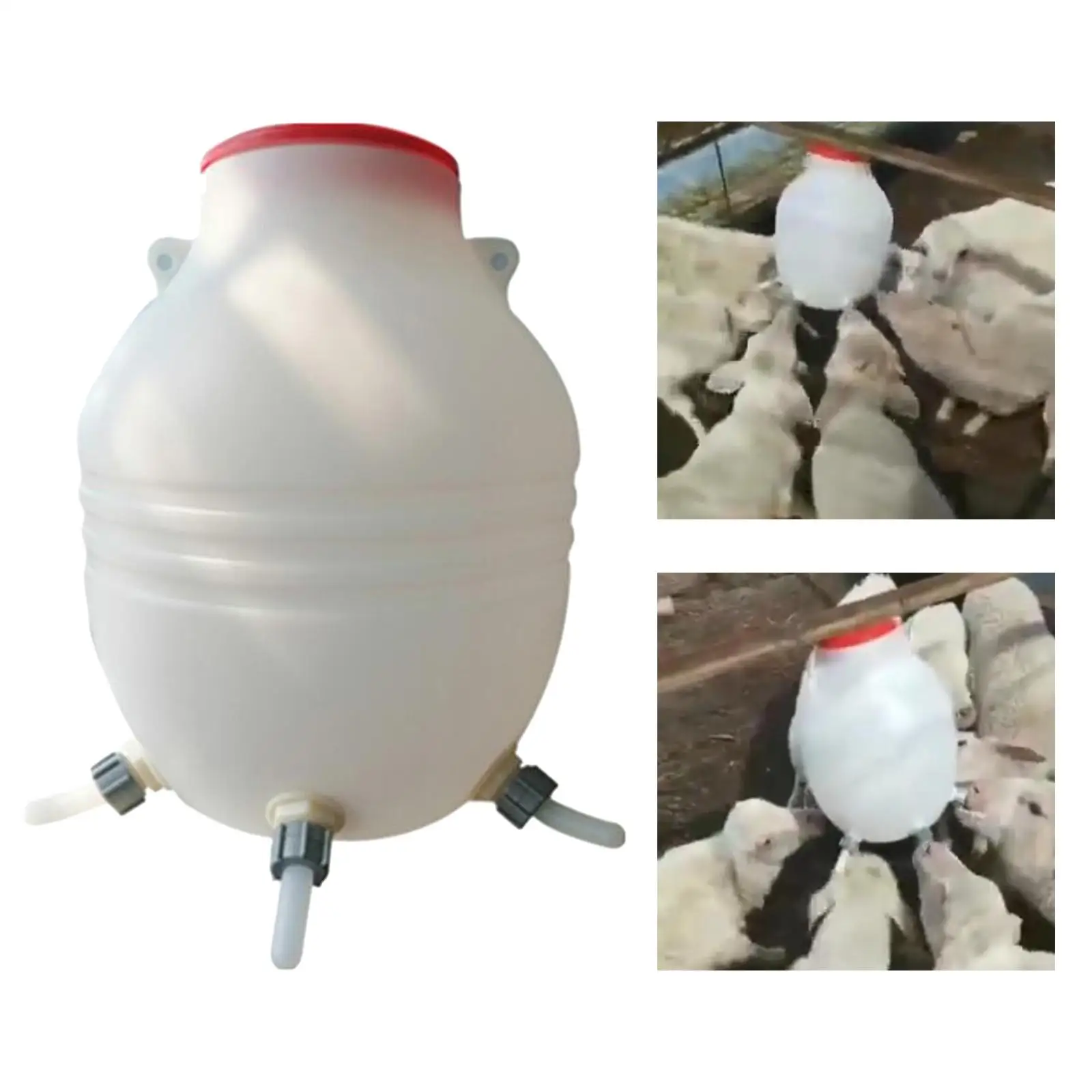 Lamb Feeder 6 Nipples for Farm Lambs Calf Goat Dog Baby Feed Livestock