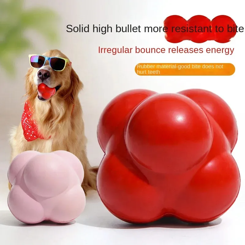 #75 Compare Treat Dispensing Dog Toys Before You Buy
