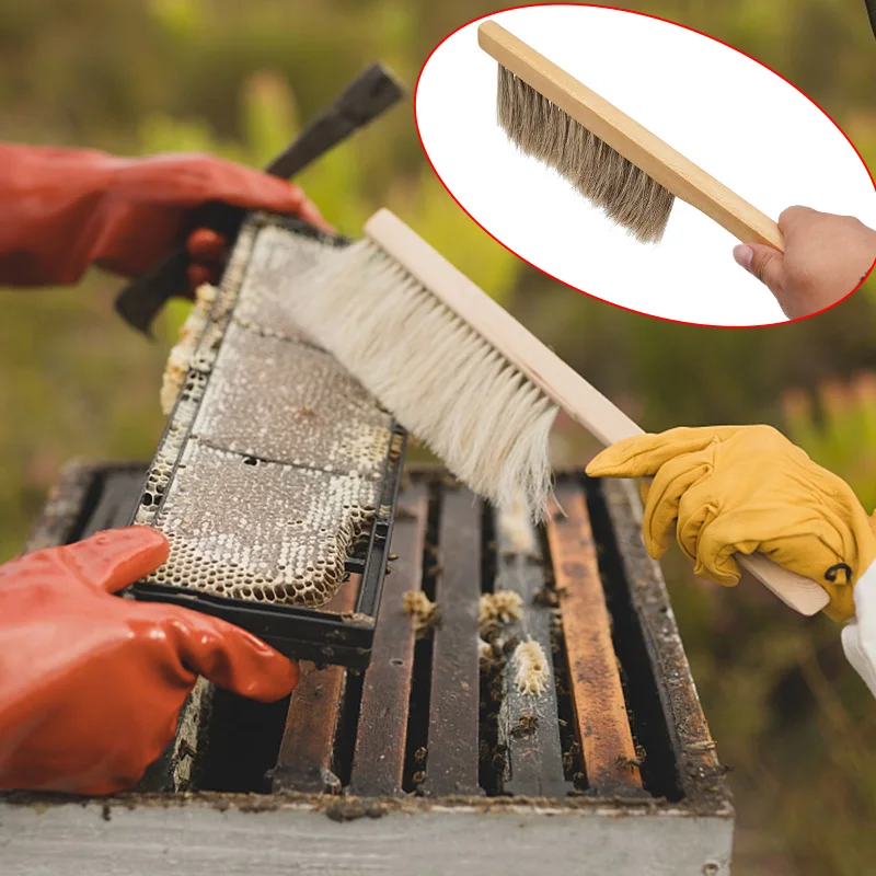 Beekeeping Tools Wood Honey Brush Wasp Bee Sweep Horse Tail Hair New Bee Brush Beekeeping Equipment Bee Tools