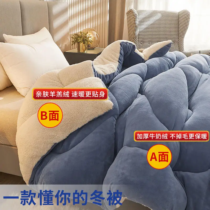 Winter thickened lamb wool quilt double-sided fleece warm quilt student dormitory single double bed household bedding