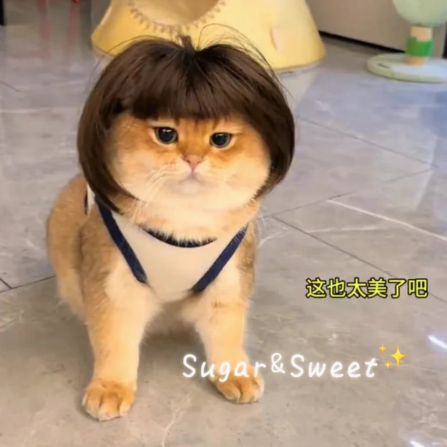 Dog Wig Funny Pet Wig Headgear Cat Dog Funny Hair Accessories Bangs Braids Exploding Heads Cosplay