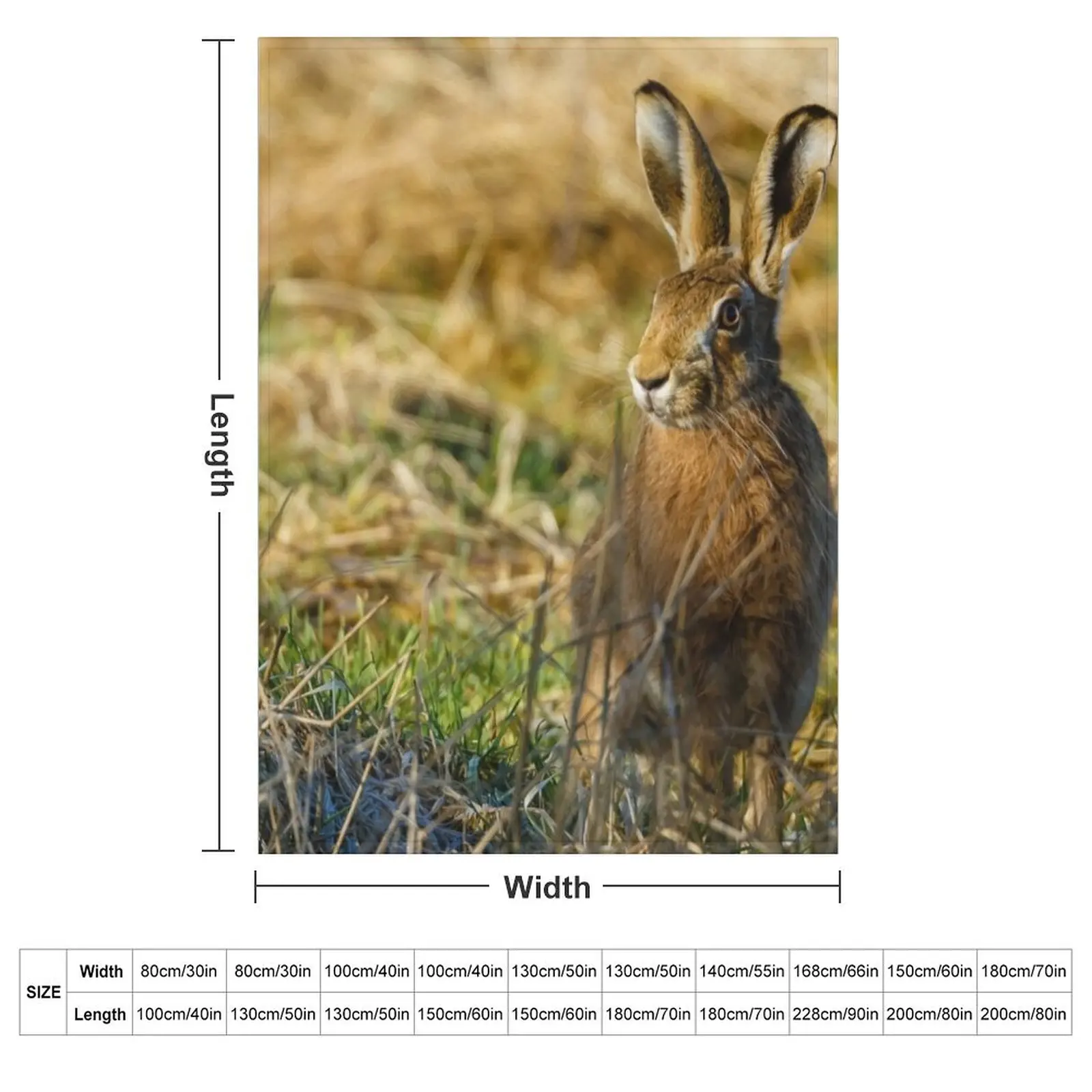 Love is in the Hare Throw Blanket warm winter Comforter sofa bed Sofa Quilt Flannels cosplay anime Blankets