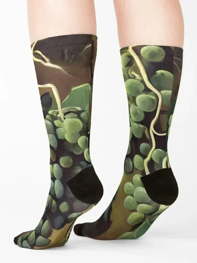 Green Grape Vine Socks hiking loose FASHION anti slip football Socks Woman Men's