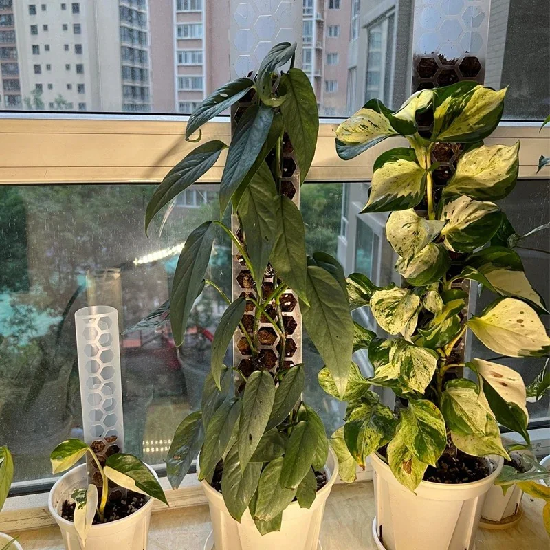 3PCS Plastic Moss Pole Climbing Vine Plant Climbing Post Plant Support Frame Gardening Tools