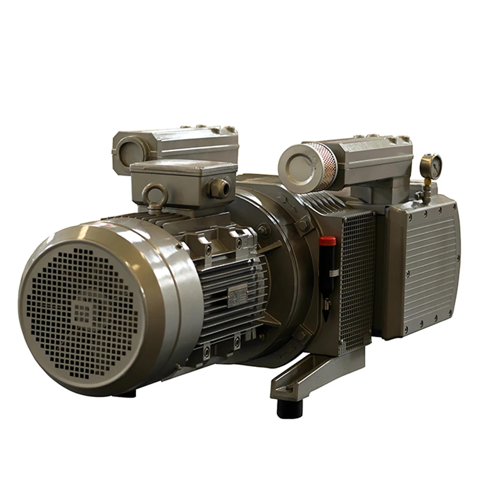 

Dry Rotary Vane Vacuum Pump 5.5kw KVF250 Strong Flow Vacuum Pump
