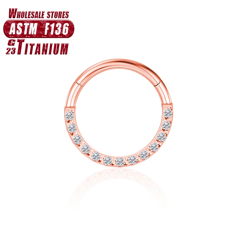 Women's Titanium ZC Nose Rings & Hinged Segment Earrings, Versatile