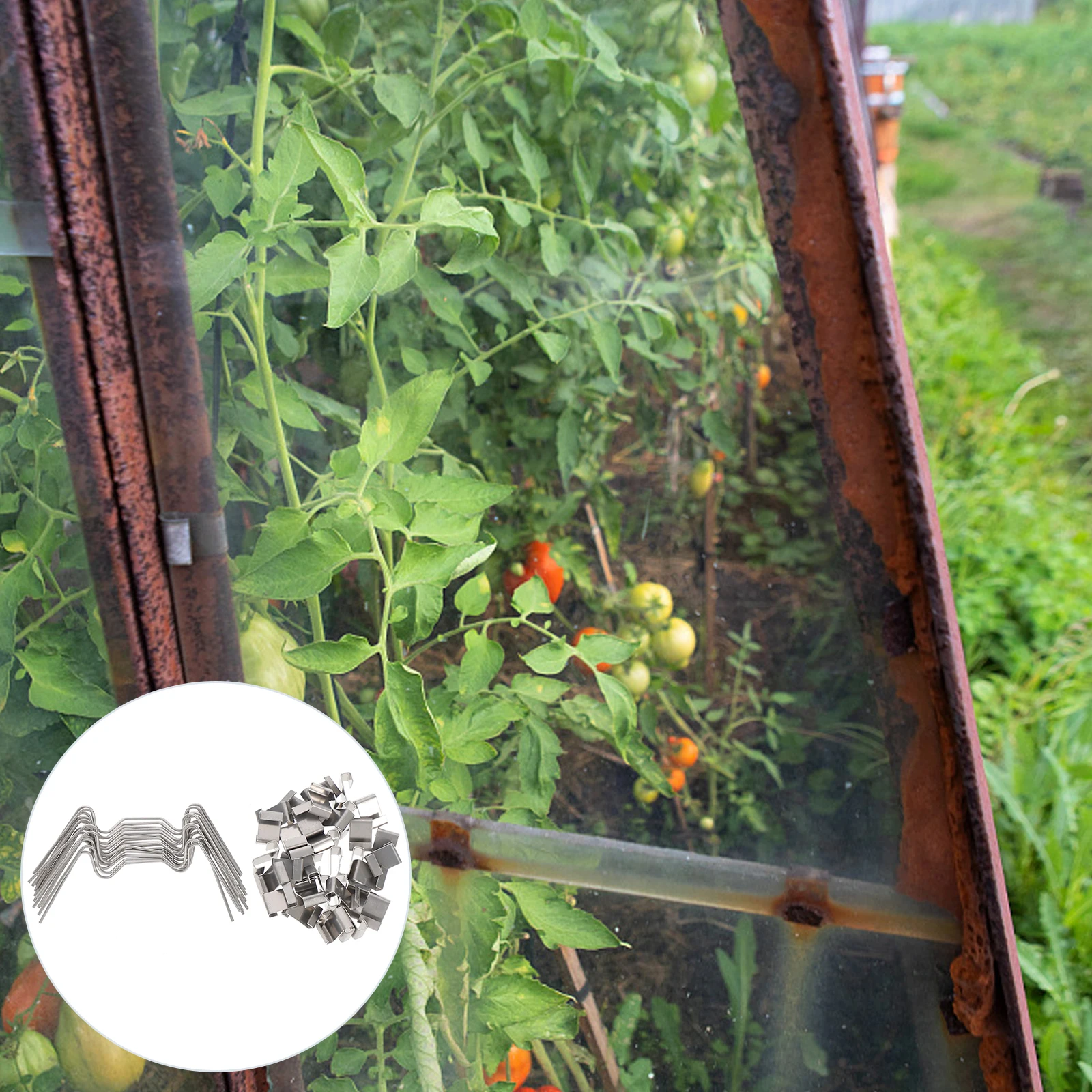 

100pcs Glass Pane Clamps Stainless Steel Greenhouse Glazing Clips W Z Type Fixing Accessories Gardening Supplies