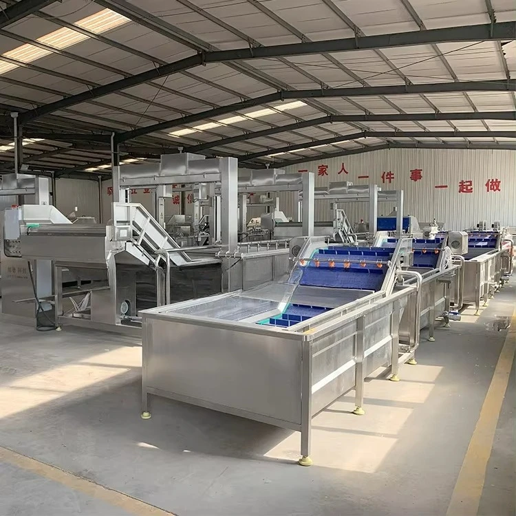 Bubble Pangasius Fillet Mackerel Anchovy Shrimp Fish Washing Machine