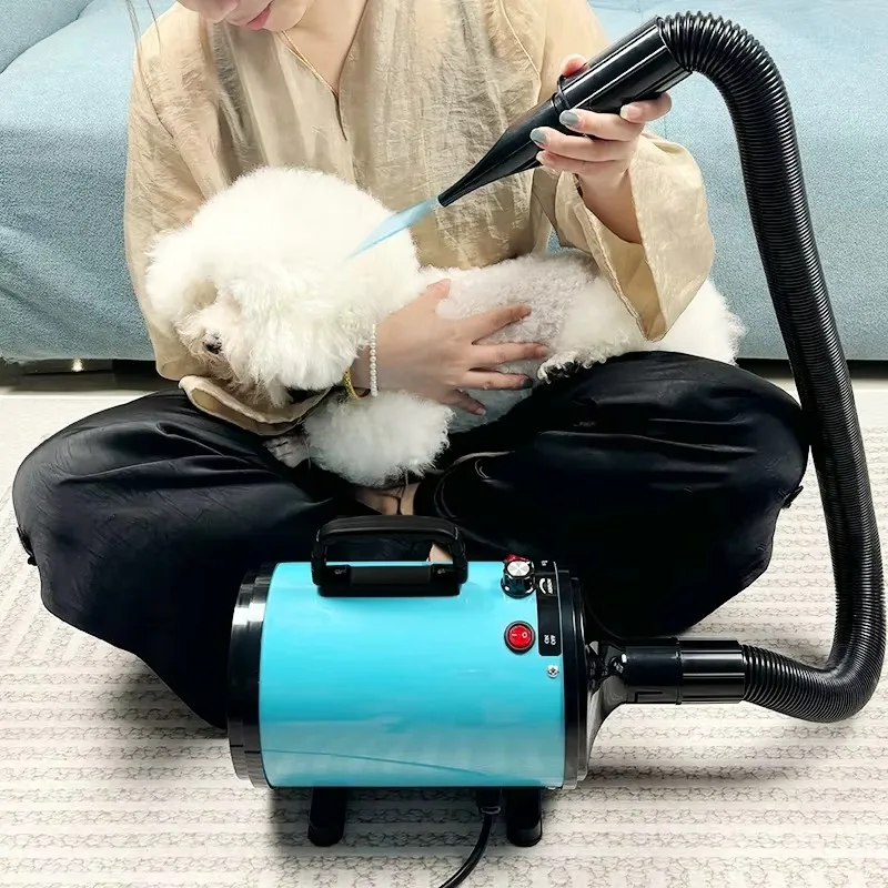 Raymax 2800W Pet Hair Dryer for Dogs Grooming Blower with Warm Wind Silent Fast Drying Stepless Speed Control Dog Care Equipment