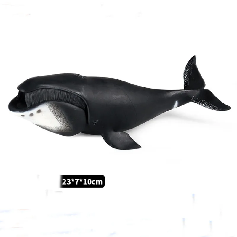 Simulazione Marine Life Model Toy Bowhead Whale Shark educazione della prima infanzia decorazione della bambola cognitiva fatta a mano per i bambini