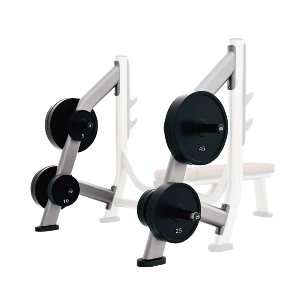 

Luxury Flat Adjustable Bench for Home Gym Durable Steel Folding Bench with Custom Logo and Dumbbell Rack