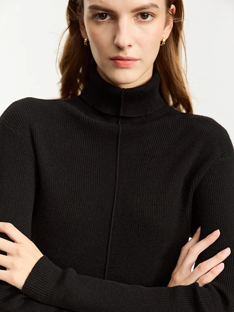 AMII Minimalist Turtleneck Sweater for Women 2024 Spring New Warm Slim High Elastic Base Long Sleeve Pullovers Tops 12343347