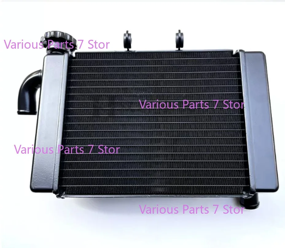 Motorcycle  Engine Radiator Cooler Cooling Water Tank for Benelli BJ300GS BN302 TNT300