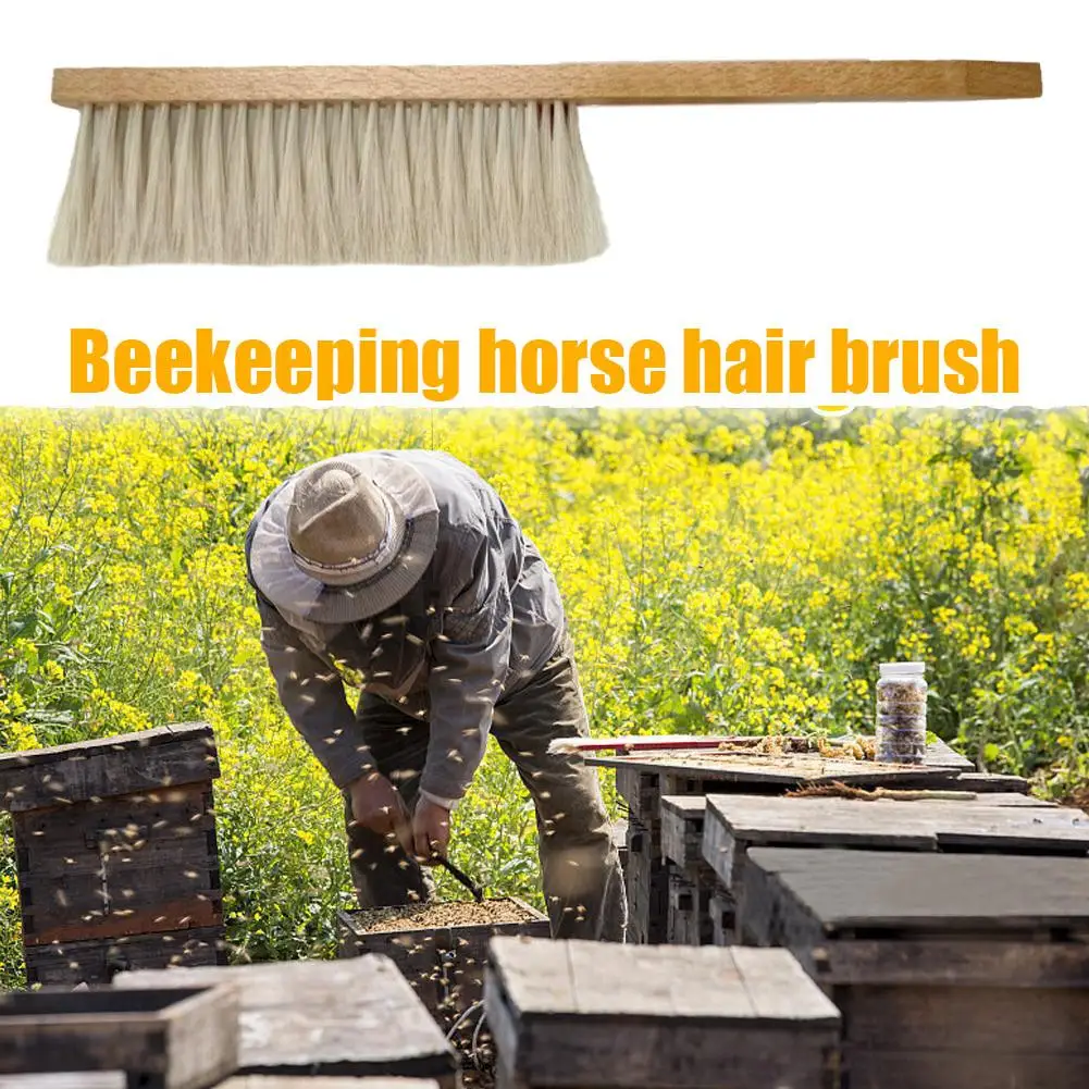 Double-Row Beekeeping Brush Solid Wood Handle Soft Horsetail Hair Bee Sweep Beekeeping Tools Cleaning Equipment for Hive