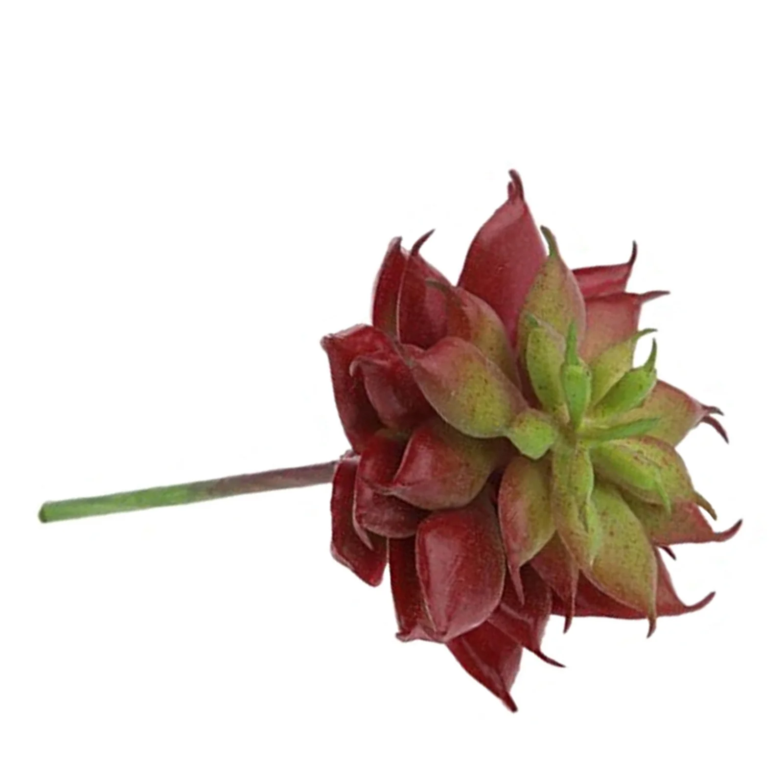 

Unpotted Artificial Succulent Plants Plastic Cactus Realistic Appearance Reddish Brown Modern Garden Decoration