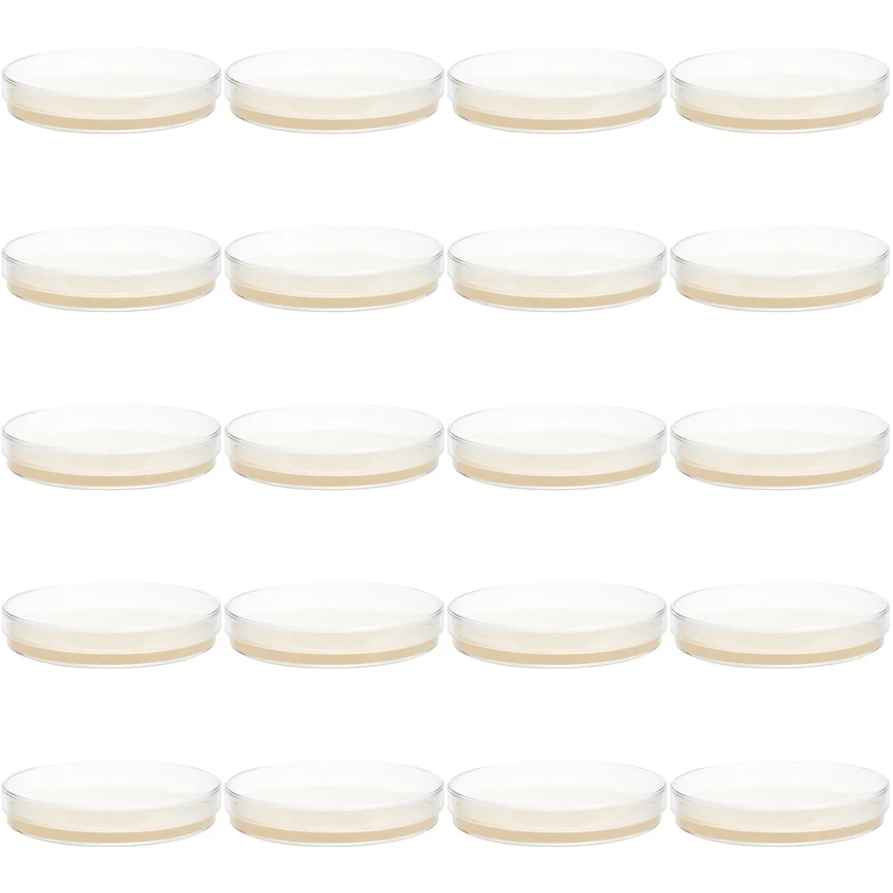 

20 Pcs Agar Plates Nutrient for Laboratory Suite Petri Dishes with Experiment Science Baby