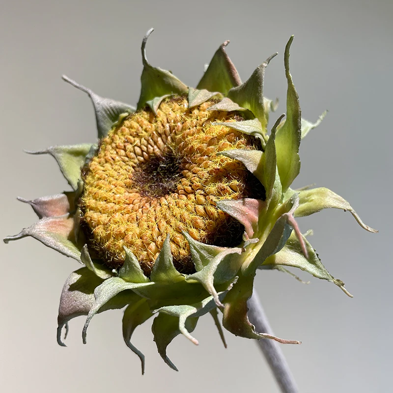 

Ретро-декор: мягкие гелевые цветы для дома, имитация высококачественных цветов, украшения для интерьера, декор для фотосессий и свадеб...