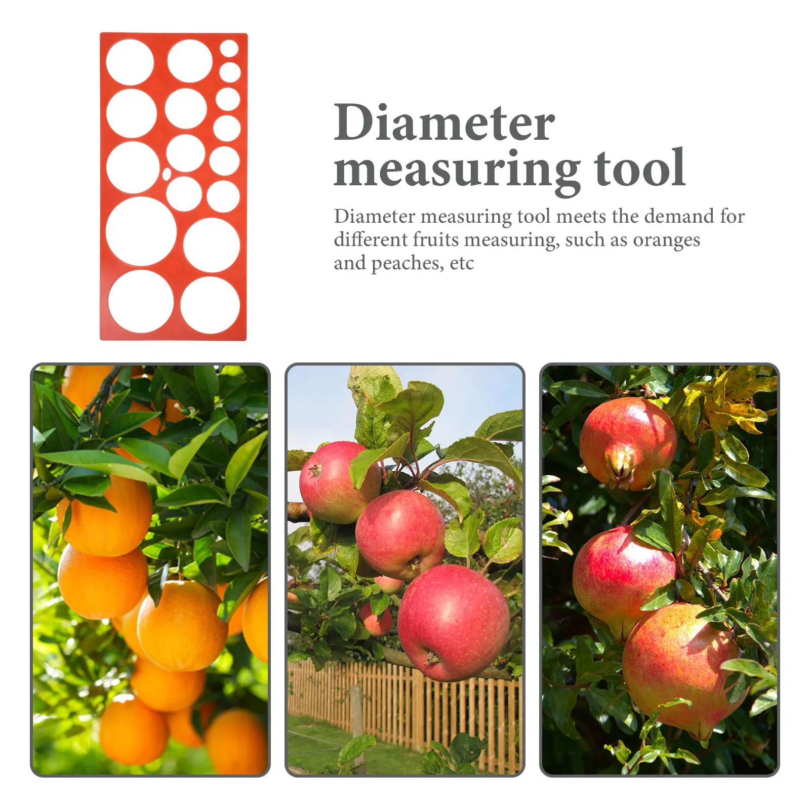 

1 set Fruit Measuring Tool 30 Diameter Measurement Card for Apples Oranges Peaches Fruit Gauge Efficient Grading Solution