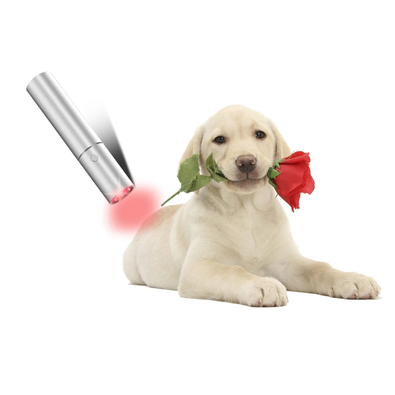 

2023 New Arrivals Red Light Therapy Torch Idea Pets Body Pain Relief Handheld Light Therapy Torch 9W