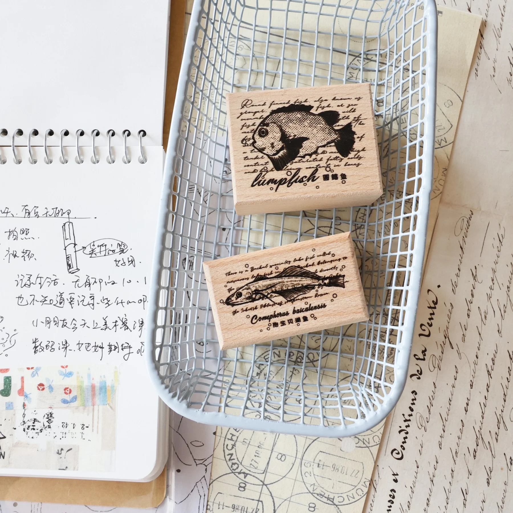 İki Rakun Vintage Küçük Kedi T - Rubber Date Stamp incelemesi ve fiyatı