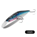 H025