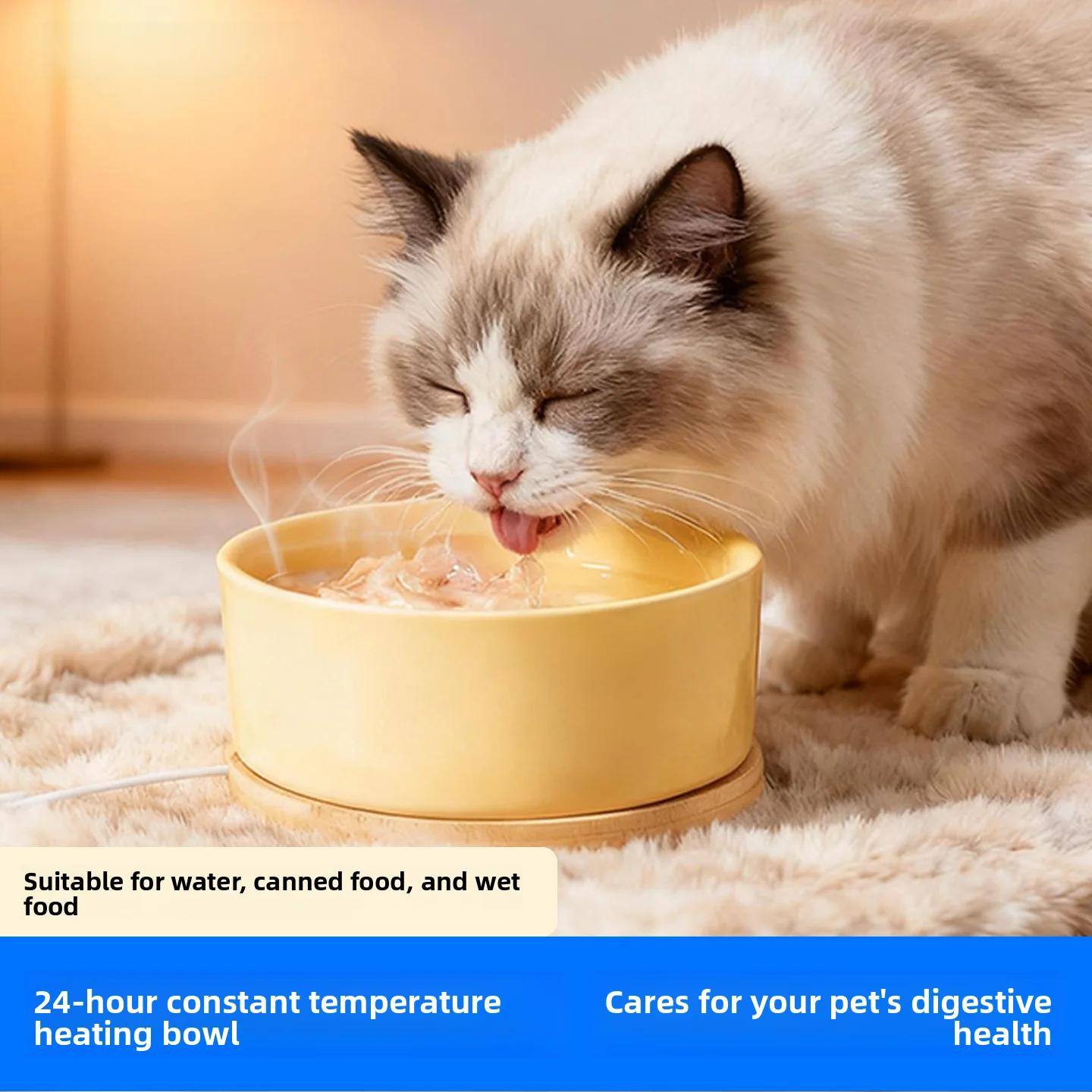 

Heated Cerc Pet Bowl Constant Temperature Dog Water Dispenser Winter Drinking Bowl Yogurt er Awezet Brand 350ml