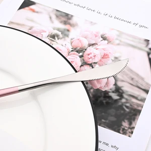 7 Hauptverkäufe Pink Küchenset - №3