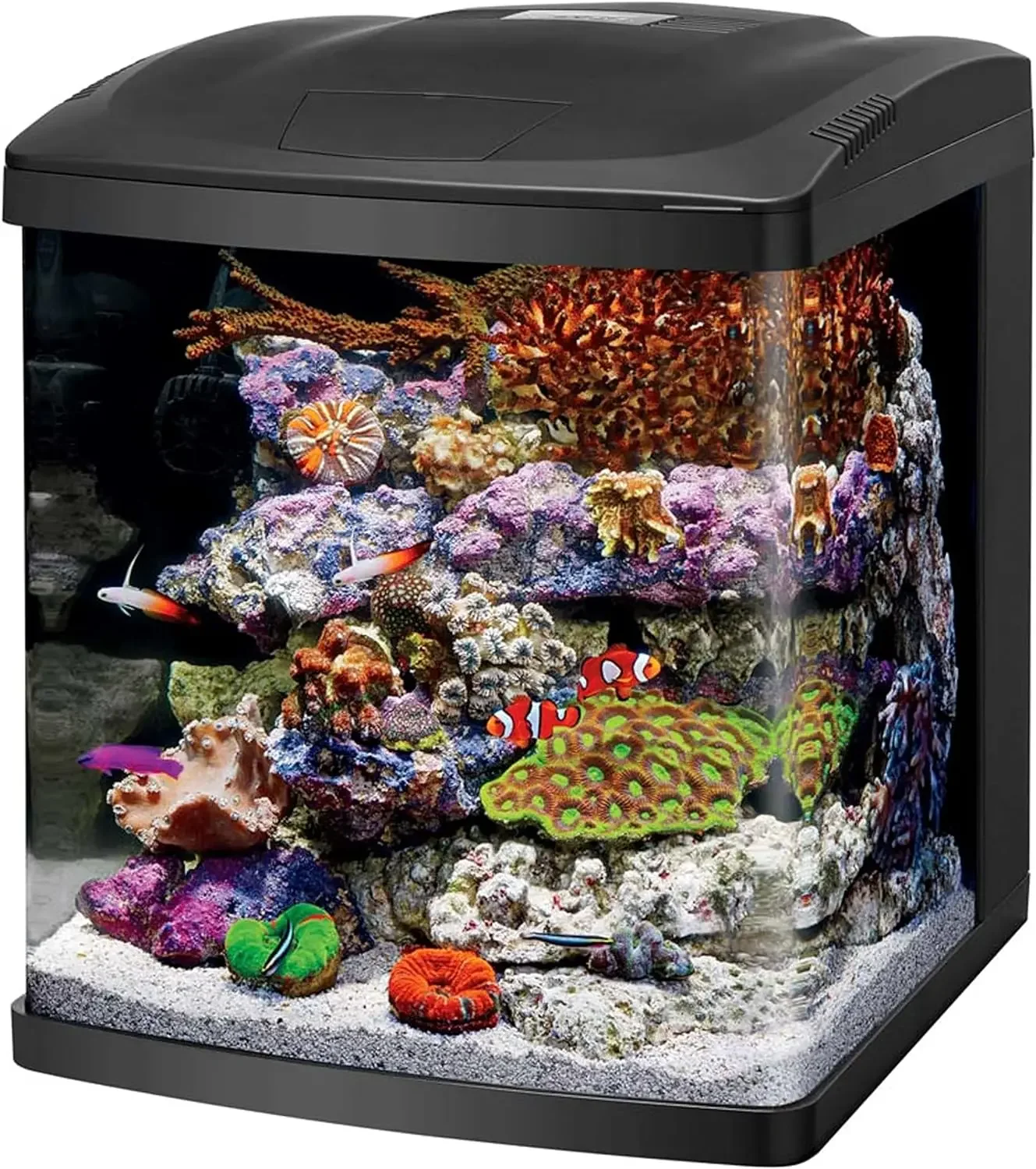 

home.Coralife LED BioCube Aquarium Fish Tank Kit, 16 Gallon