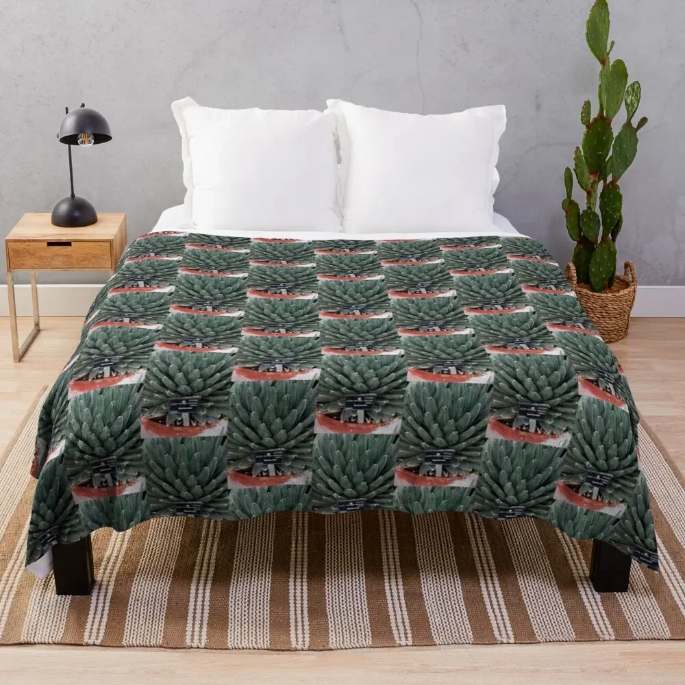 Agave Victoria Plant Photo Throw Blanket Summer Beddings Plush for winter Blankets