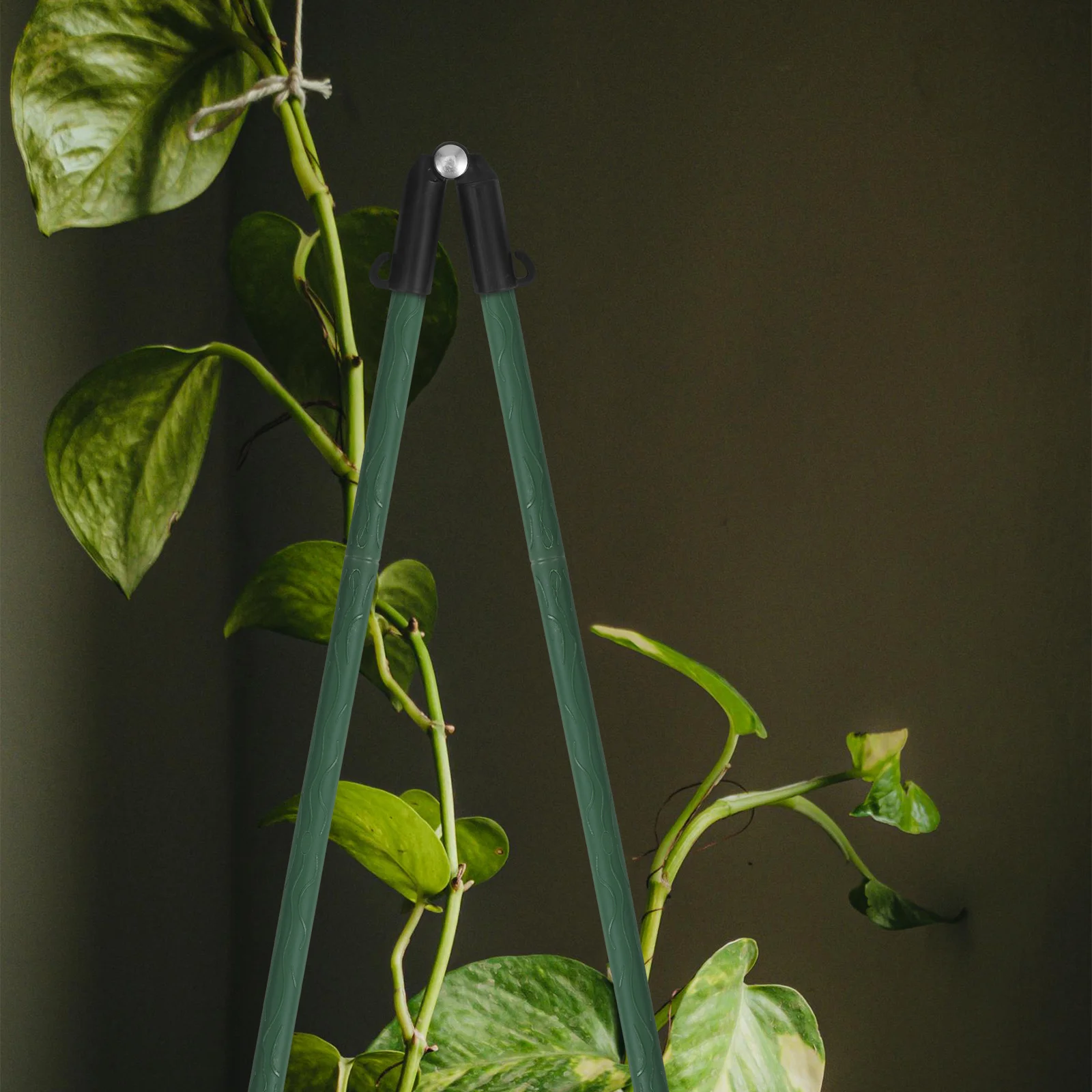 

10Pcs Adjustable Plant Plastic Connector B-Type Clip for Tomato Cucumber Eggplant Support Greenhouse Clamps Cover Netting Tunnel