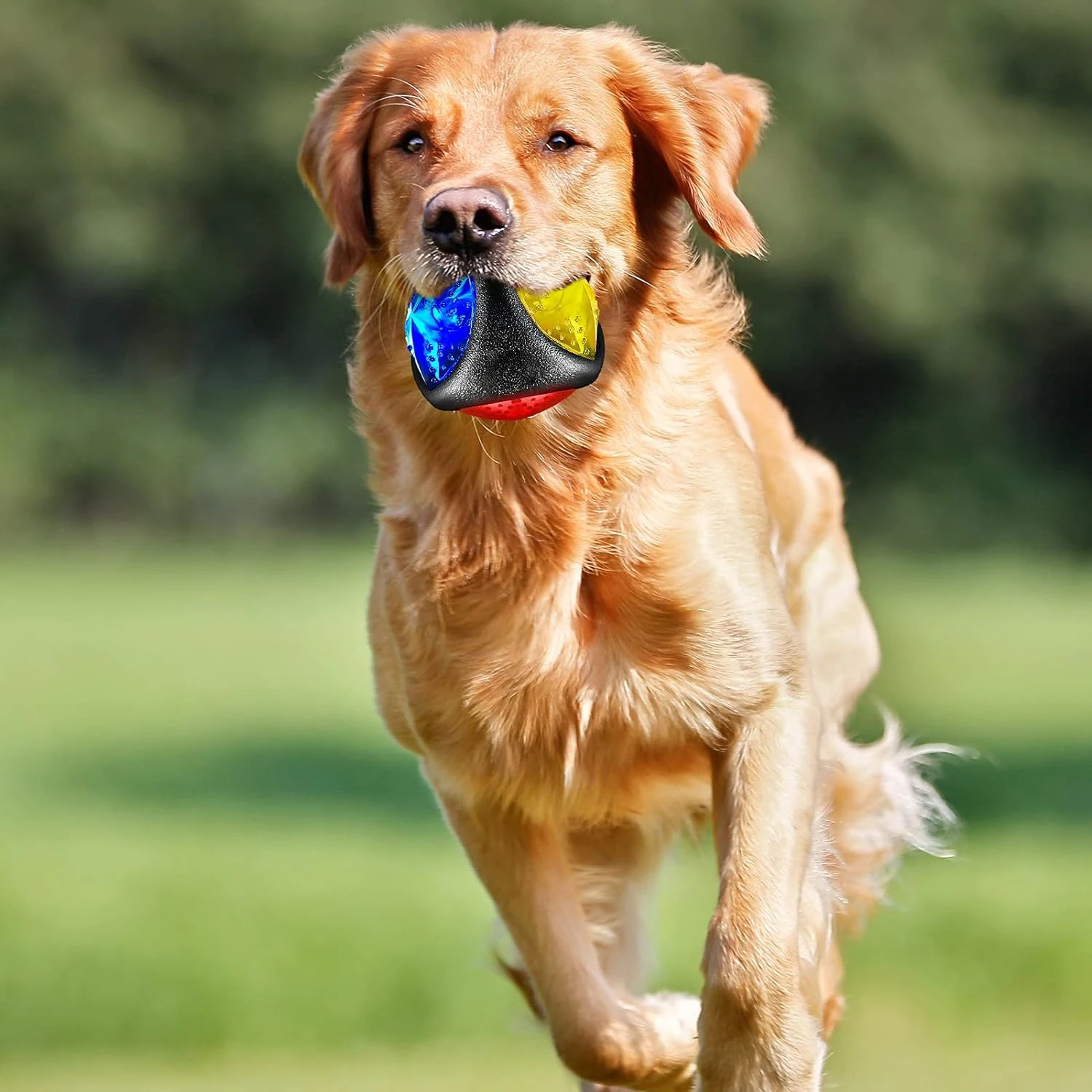 Juego interactivo de pelotas de juguete para mascotas con luz LED brillante y estridentes, juego de juguetes perfecto para perros y cachorros, Ideal para jugar y exer