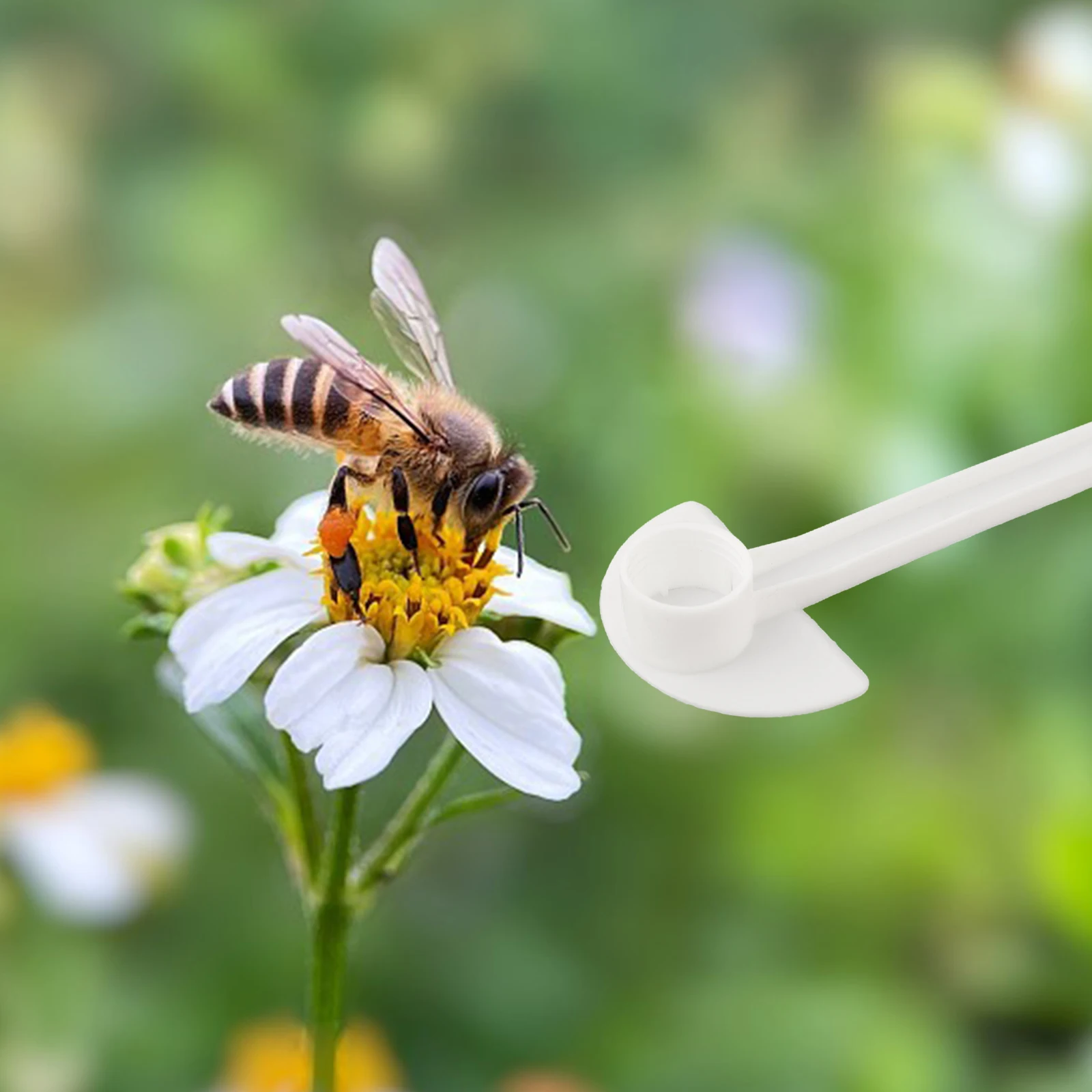 

Bee Food Feeder Courtyard For Bee Garden Bee Water Feeder Bee Feeder White Feeder 40pcs Beekeepers Tool White 15x3cm