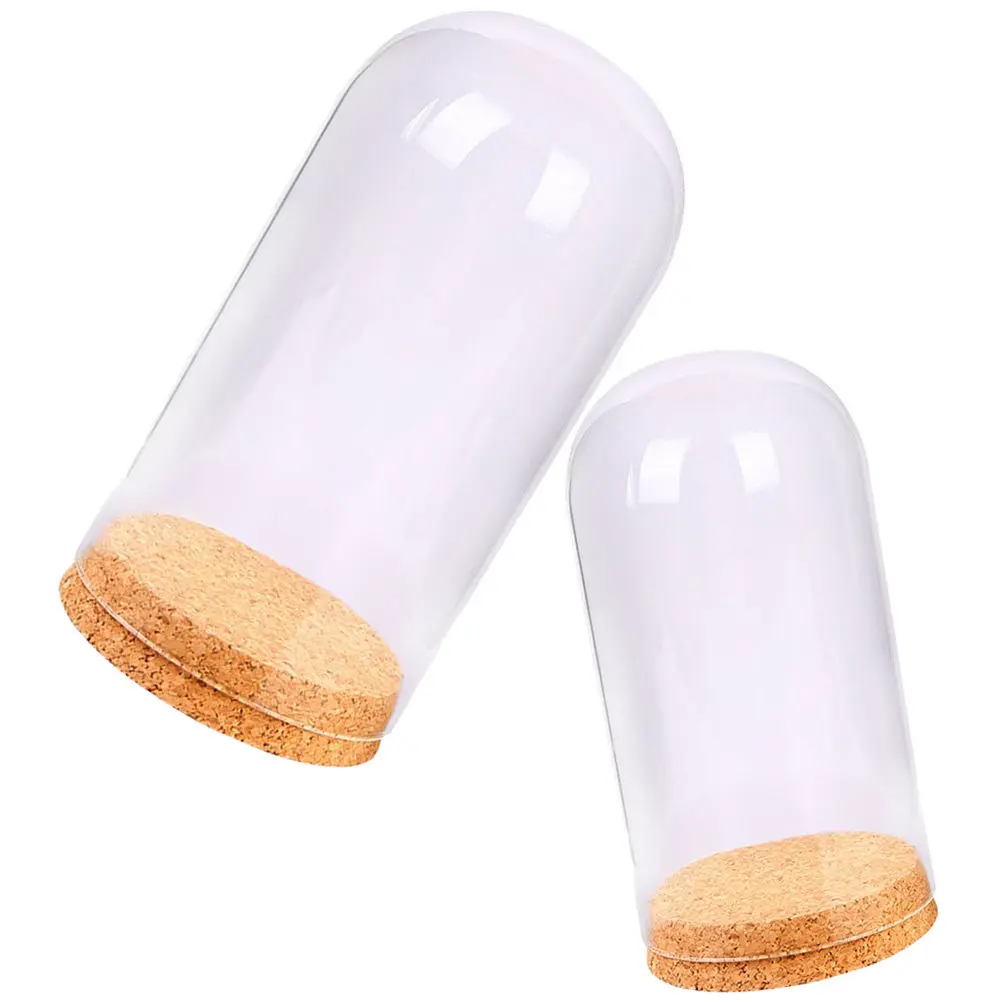 Clear Glass Dome Cover with Cork Base for Immortal Flowers Micro Landscape Desktop Decoration – 2 pcs