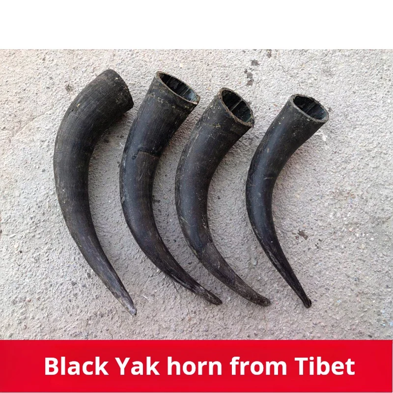 Yak horn raw material natural black yak horn tibet yak horn raw material ornament decoration hollow material