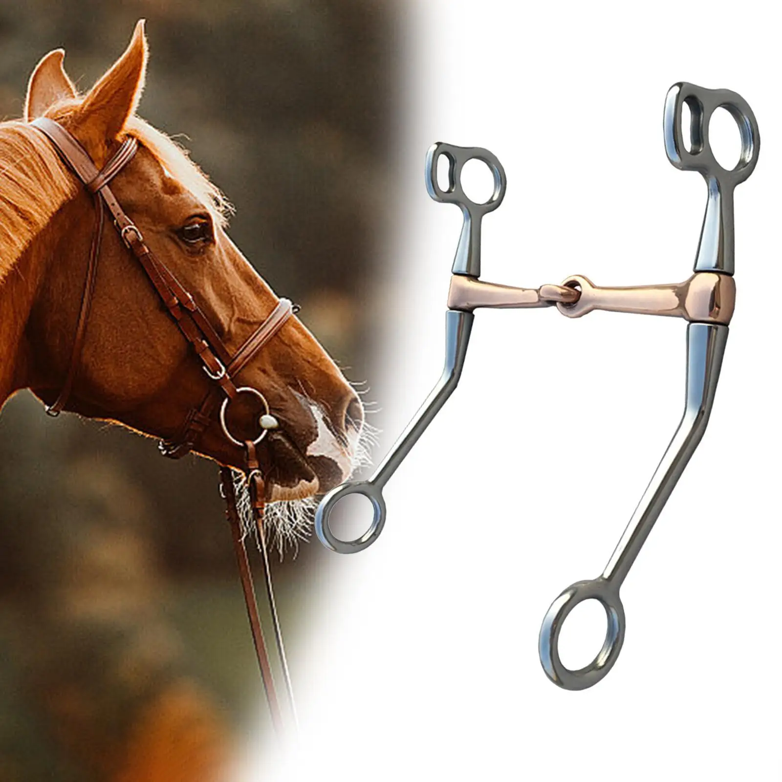 Equestrian Supplies H Shape Stallion Training Bit for Performance Equestrian