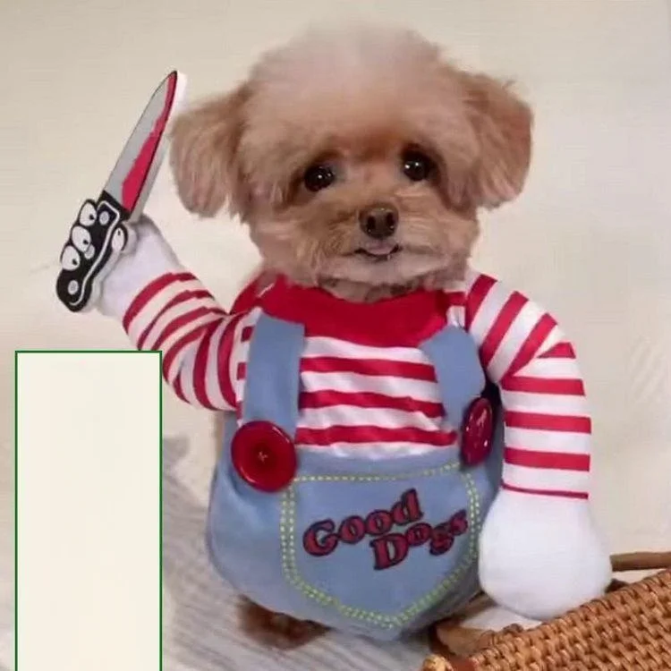 loween Costume trasformativo Divertente vestito per cagnolino Cani di piccola a media taglia Cisas Costume alla moda Vestiti per animali domestici
