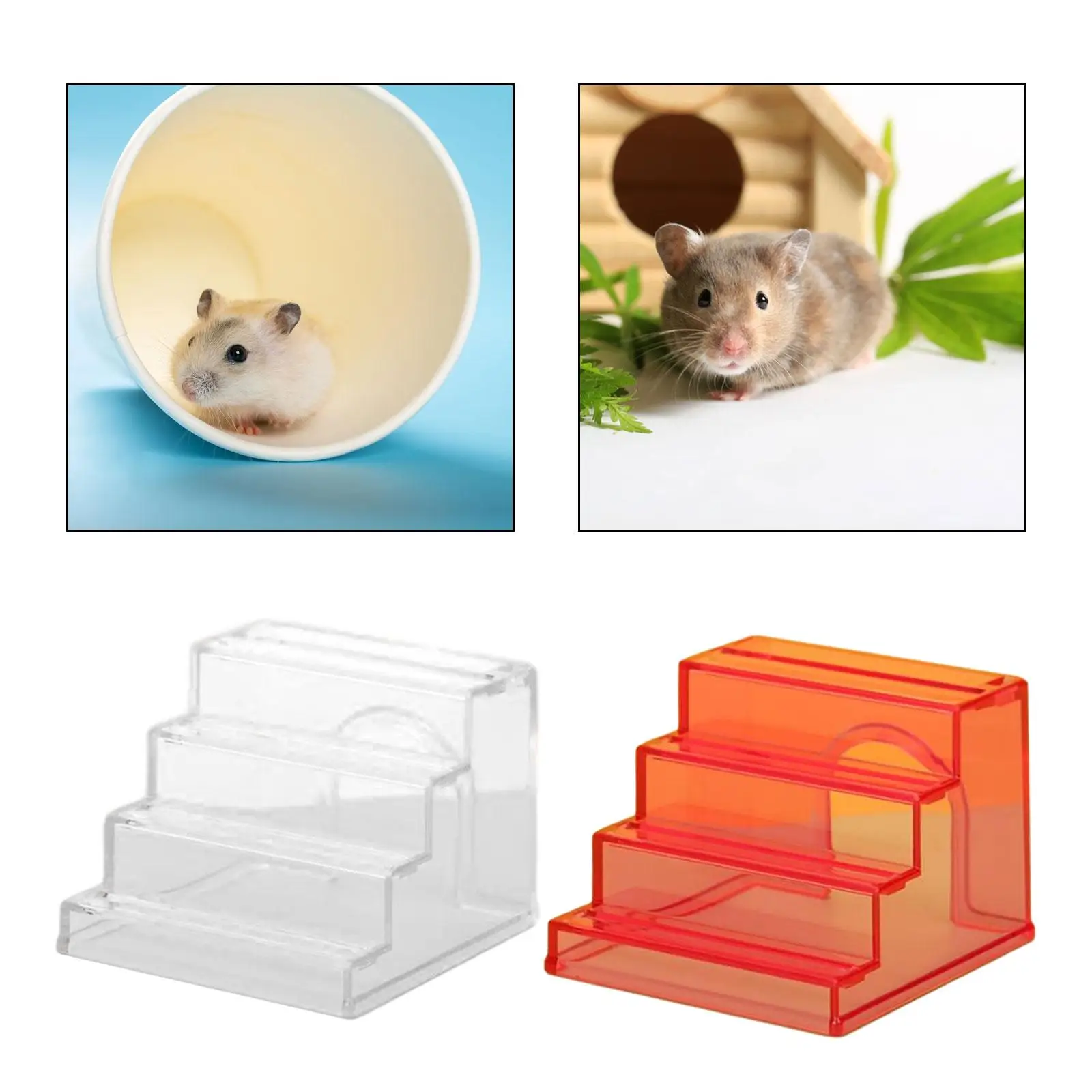 Hamster Climbing La…