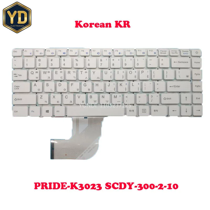 

YD Laptop Keyboard For DICLE Clickbook D14 R-R-DCz-D14 PRIDE-K3023 SCDY-300-2-10 Ver:A Korea KR White New