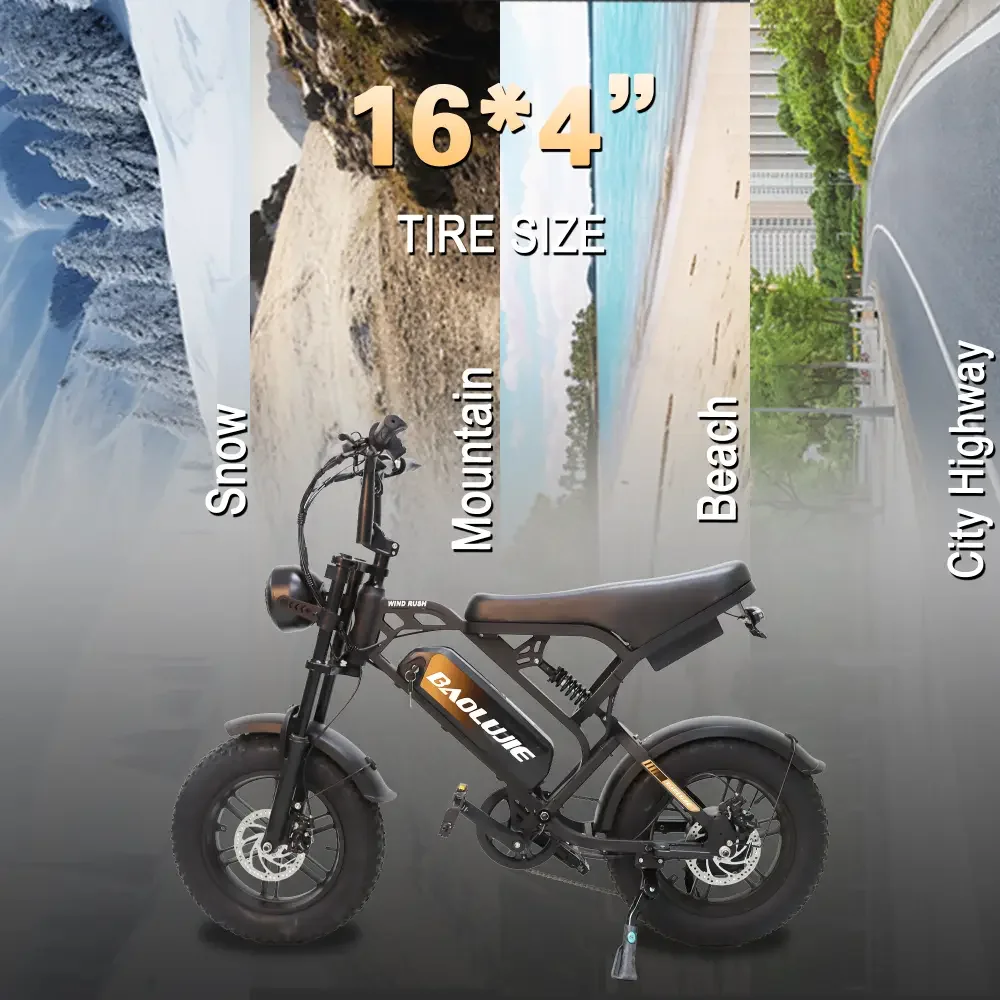 【1 Year Warranty】BAOLUJIE F2 Electric Bike bicycle 500W Motor 28MPH Max Speed Color LCD Display，48V 13AH Removable Battery Ebike