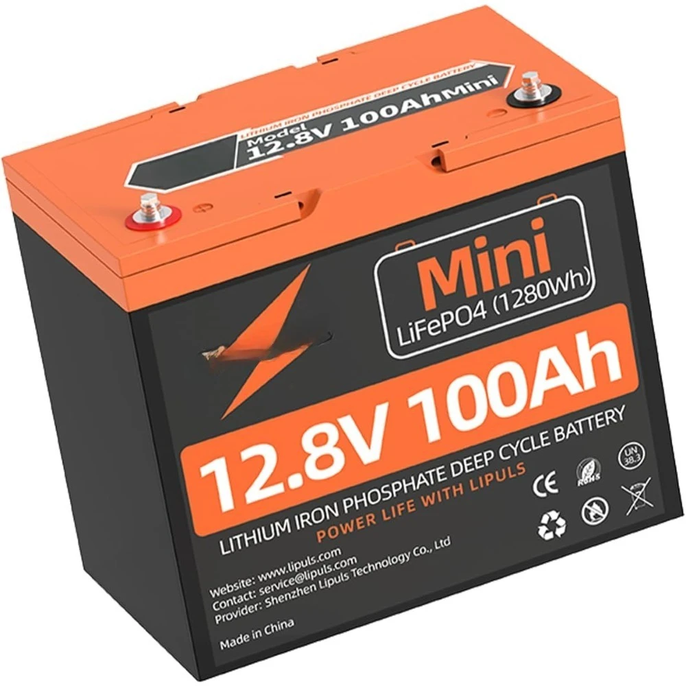 

12V 100Ah Mini LiFePO4 Lithium Battery w/100A BMS & Grade A Cells, 15000 Cycles & 10Y Lifespan for RV,Camping,Solar