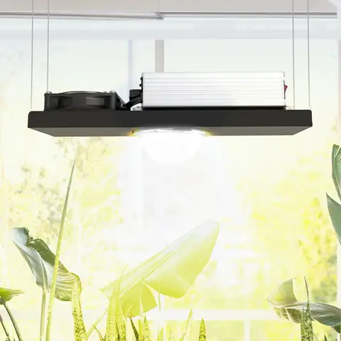 Original COB CXB3590 led grow light 3000K/3500K CD Bin 80 CRI 36V cob led grow light for medical plantsfor Hydroponic Pot Light